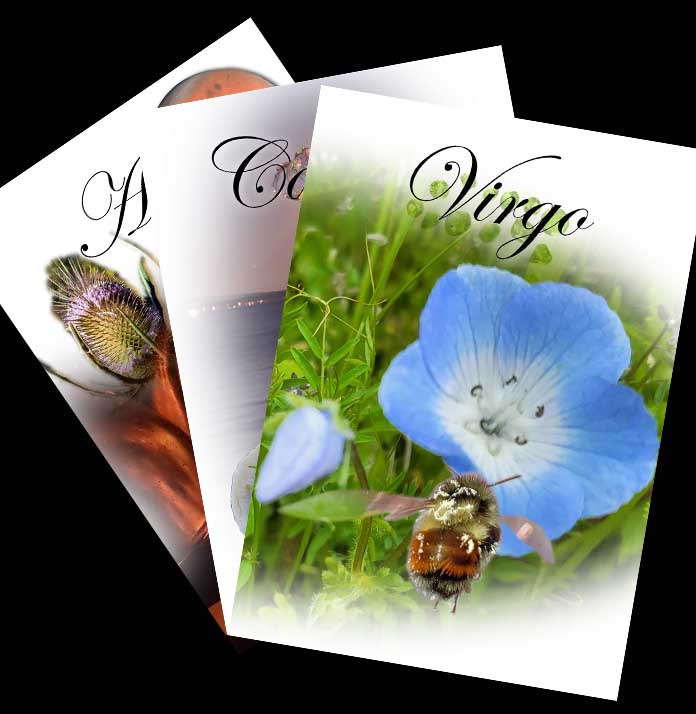 Horoscope Greeting Cards